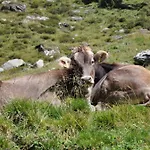Wallnerhuette I Almblick Шале