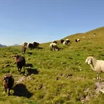 Шале Wallnerhuette I Almblick