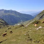 Wallnerhuette I Almblick Шале