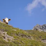 Wallnerhuette I Almblick