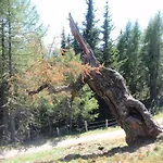 Wallnerhuette I Almblick Шале Mortschach