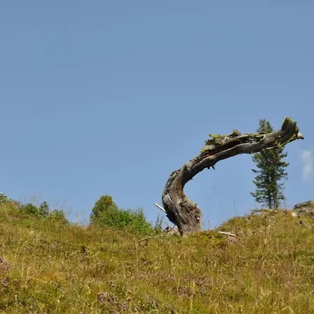 Wallnerhuette I Almblick בקתה Mörtschach