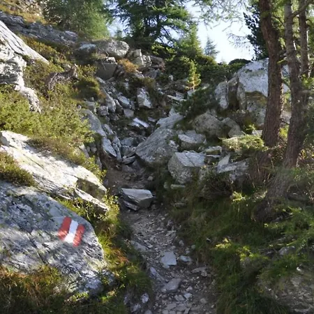 Alpehytte Wallnerhuette I Almblick
