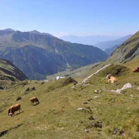 Wallnerhuette I Almblick Alpehytte