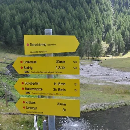 Wallnerhuette I Almblick * Mörtschach