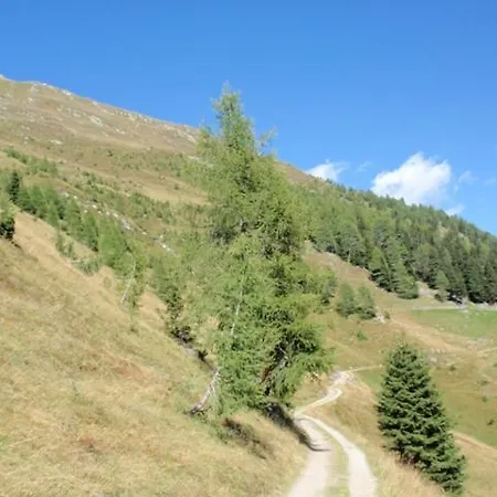 Alpehytte Wallnerhuette I Almblick *