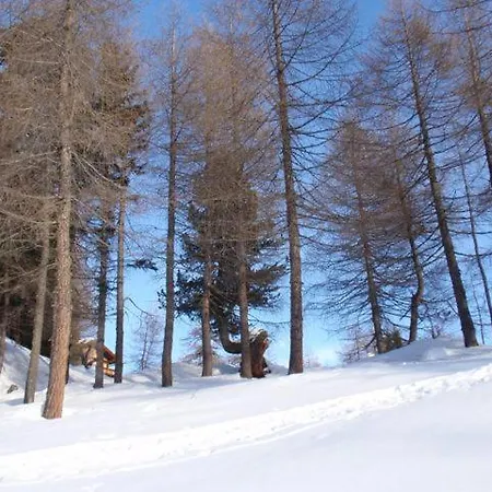 Wallnerhuette I Almblick Alpehytte *