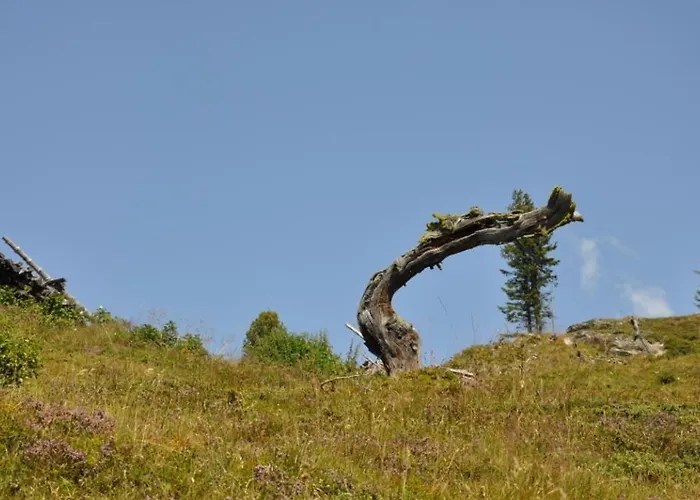 Wallnerhuette I Almblick Domek alpejski Mörtschach