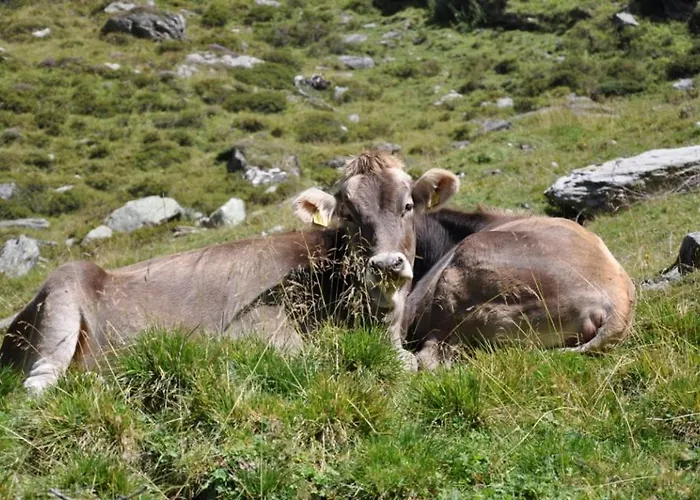 Wallnerhuette I Almblick Domek alpejski