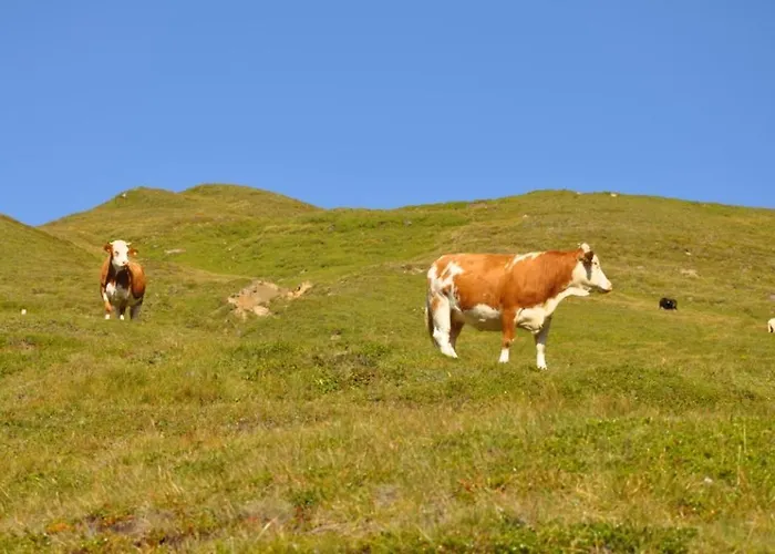 Wallnerhuette I Almblick Domek alpejski Mörtschach
