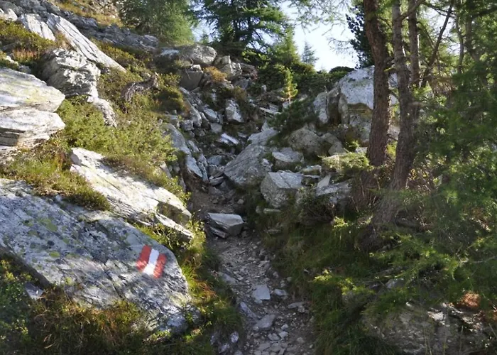 Domek alpejski Wallnerhuette I Almblick