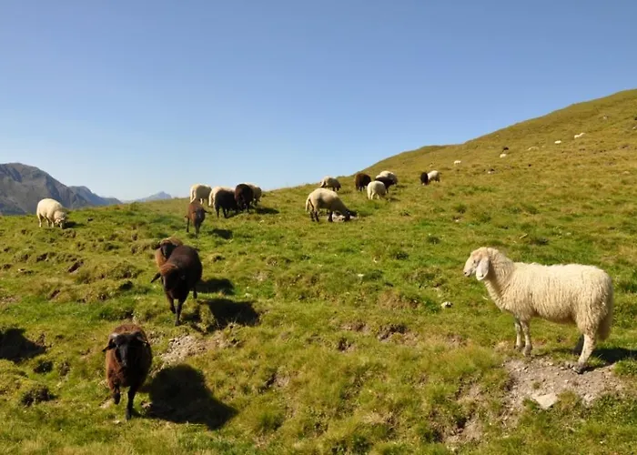 Domek alpejski Wallnerhuette I Almblick
