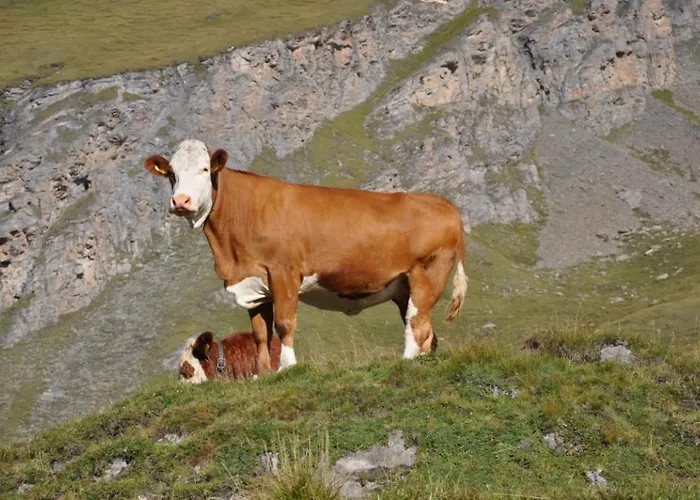 Domek alpejski Wallnerhuette I Almblick Mörtschach