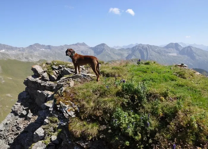 Wallnerhuette I Almblick Domek alpejski