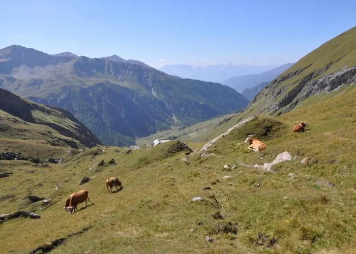 Wallnerhuette I Almblick Domek alpejski