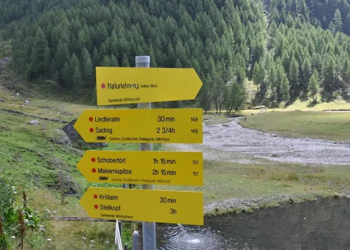 Wallnerhuette I Almblick * Mörtschach