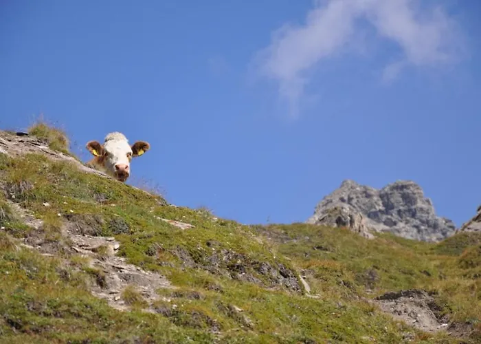 Wallnerhuette I Almblick