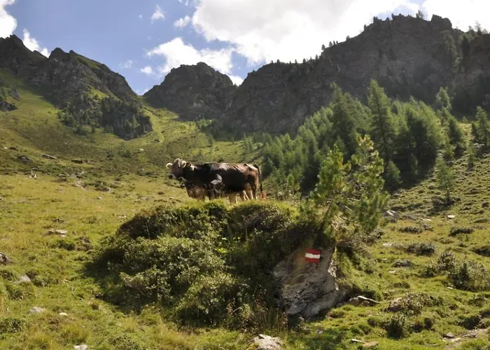 Wallnerhuette I Almblick Domek alpejski Mörtschach