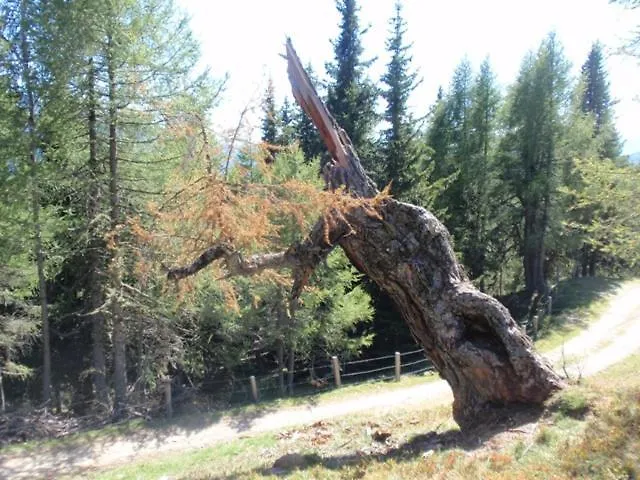 Wallnerhuette I Almblick Domek alpejski Mörtschach