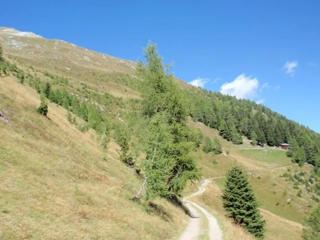 Domek alpejski Wallnerhuette I Almblick *